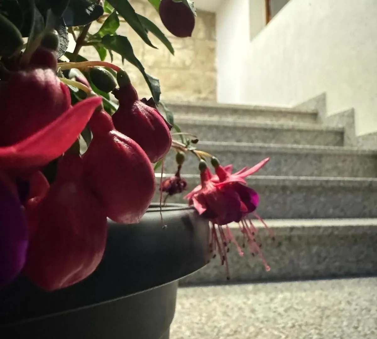 Casa Nevija Appartement Grožnjan